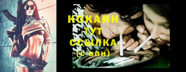 кокс Вяземский