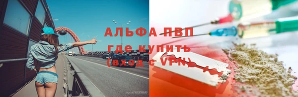 стафф Вязьма