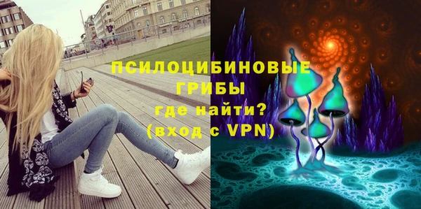 кокс Вяземский