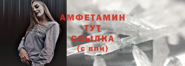 стафф Вязьма