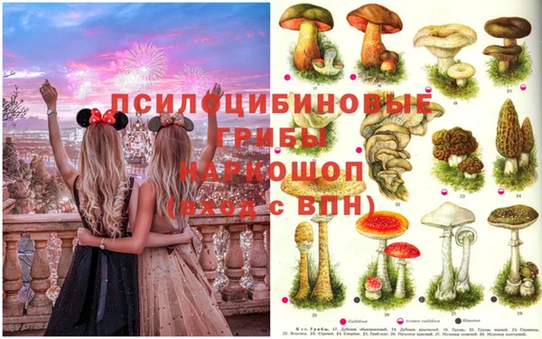 кокс Вяземский