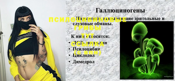 стафф Вязьма