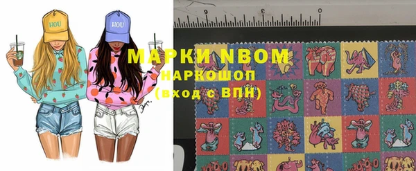 стафф Вязьма